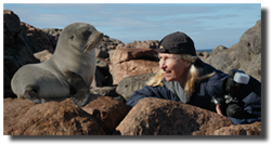Geri face-to-face with a sea lion in Australia